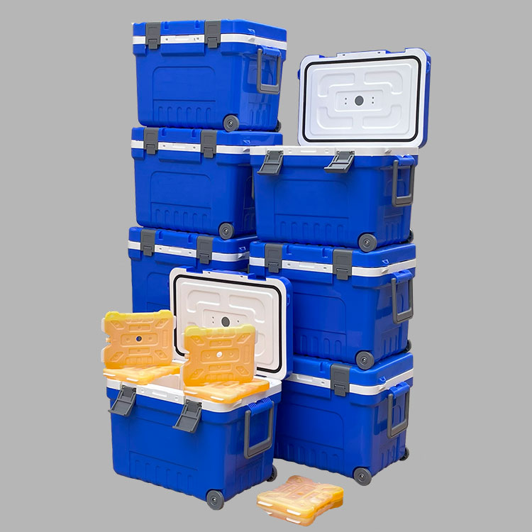 北方冬季酷寒4℃抗凍保溫箱生物藥品防凍冷藏箱方案20L